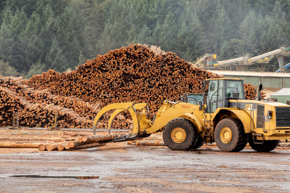 wood products market conditions