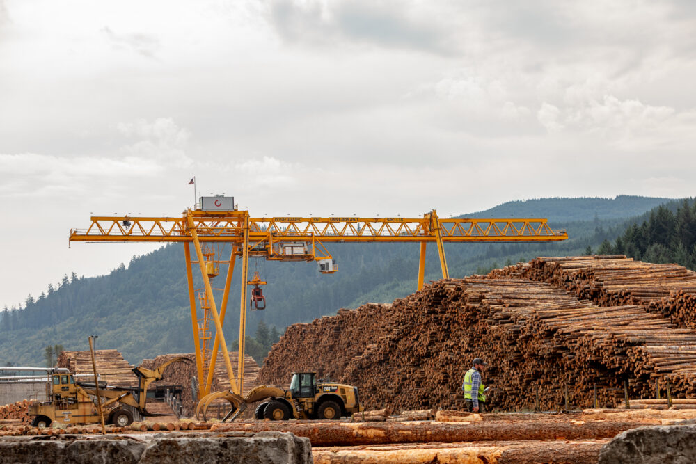 Plywood Market Outlook