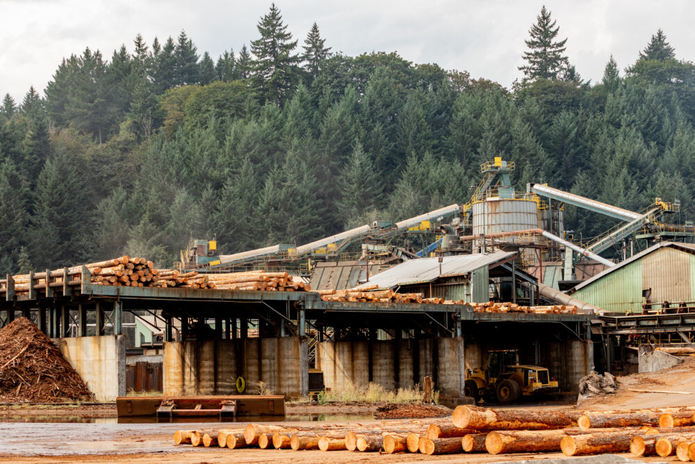 Year-End Reflection 2025