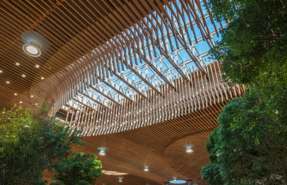 PDX Airport Mass Timber