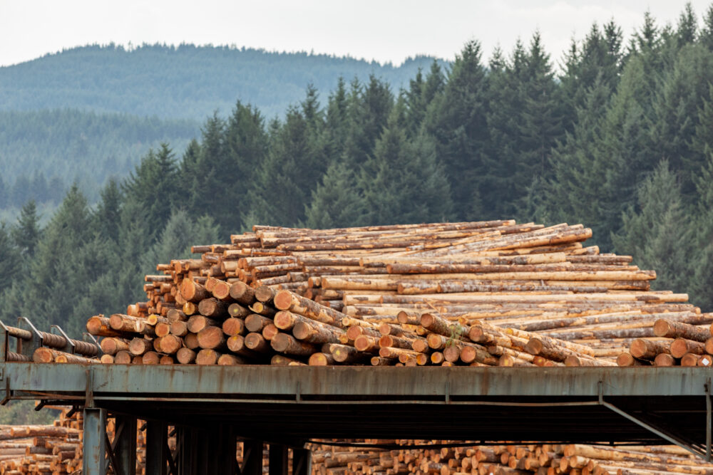 PNW wood products market outlook