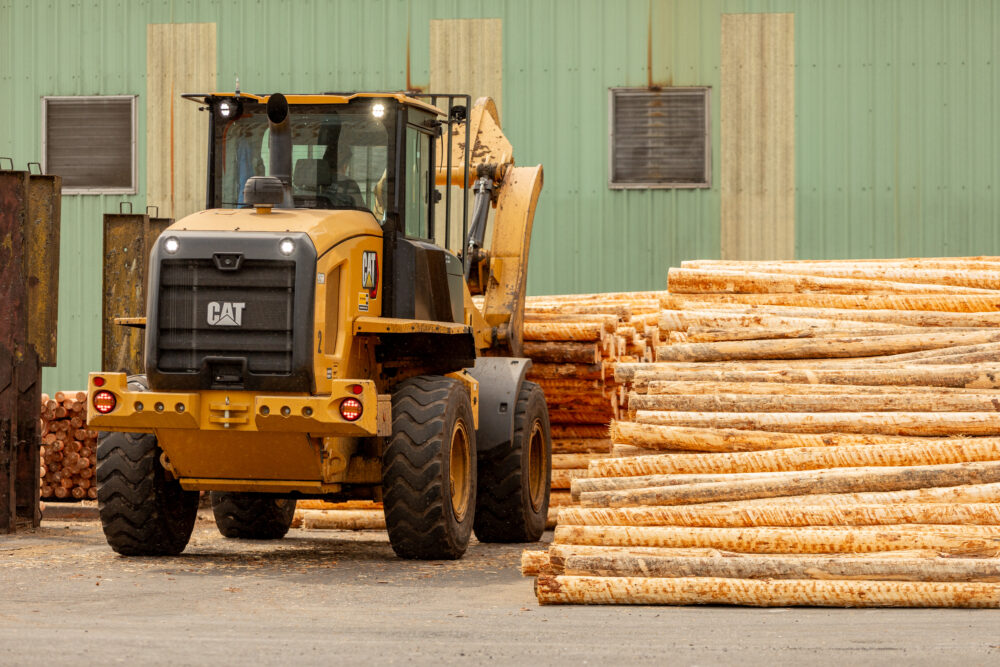 long-length veneer supply