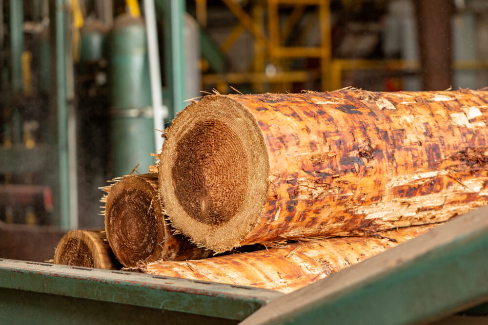 plywood market recovery