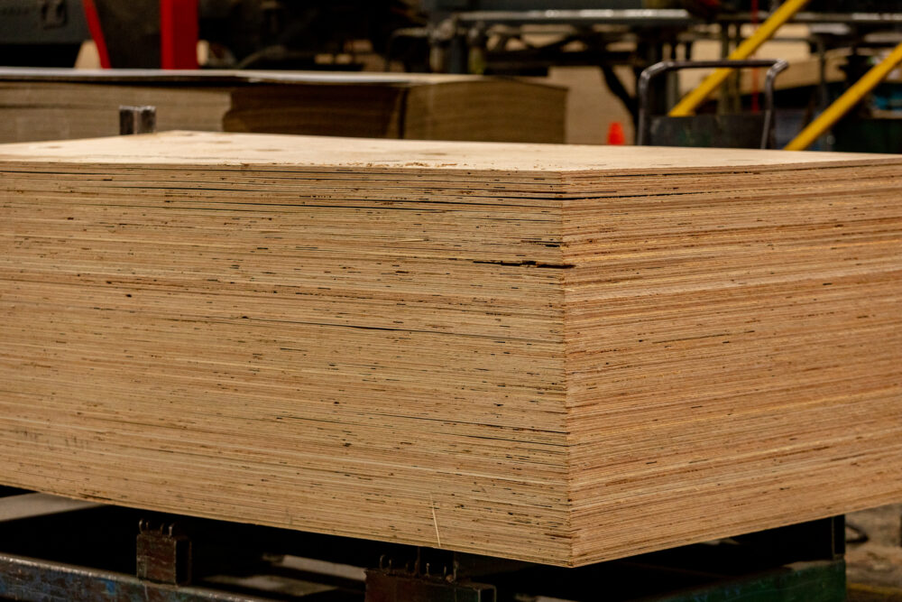 plywood market rebound